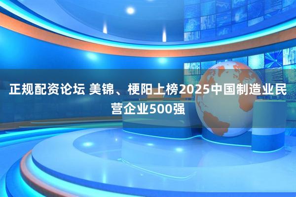 正规配资论坛 美锦、梗阳上榜2025中国制造业民营企业500强