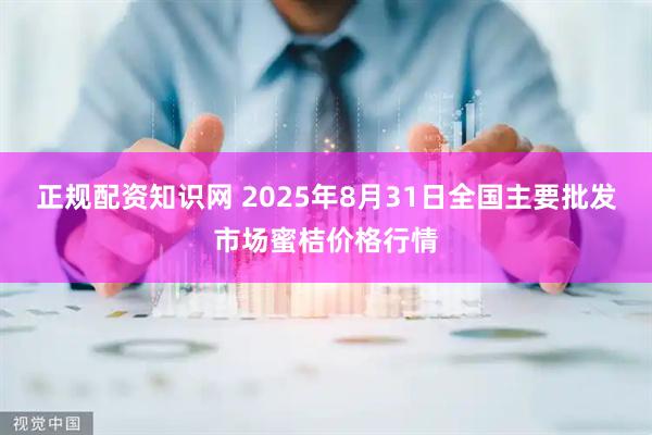 正规配资知识网 2025年8月31日全国主要批发市场蜜桔价格行情