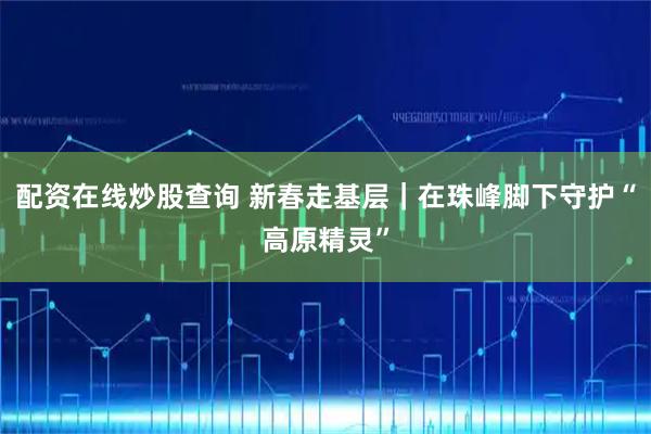 配资在线炒股查询 新春走基层｜在珠峰脚下守护“高原精灵”